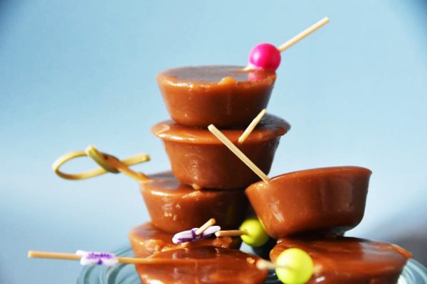 repas végétariens,livraison repas lauragais,repas livrés en bocal,livraison repas séminaires,repas bio et locaux,repas faits maison,légumes bio