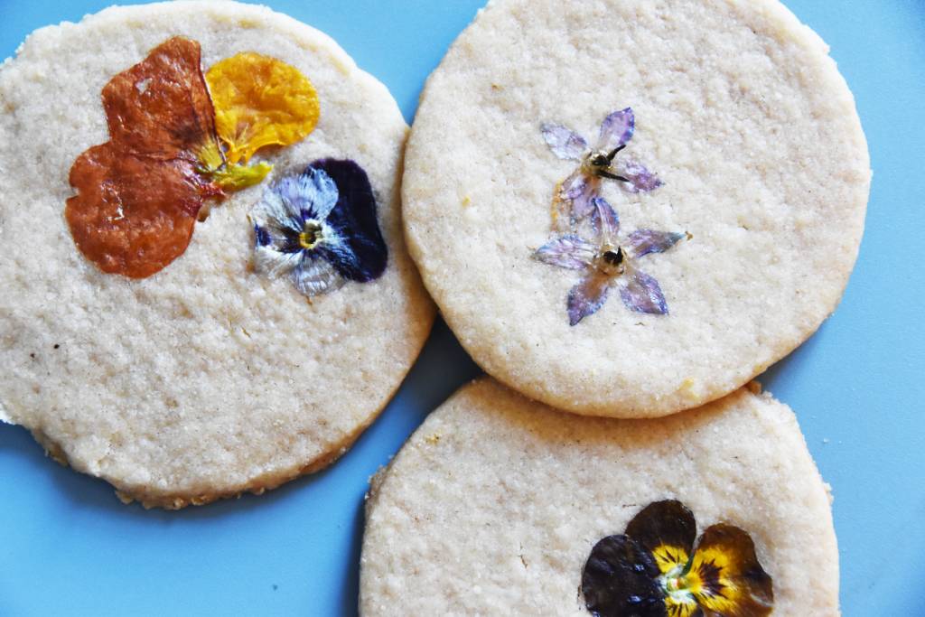 repas végétariens,livraison repas lauragais,repas livrés en bocal,livraison repas séminaires,repas bio et locaux,repas faits maison,légumes bio