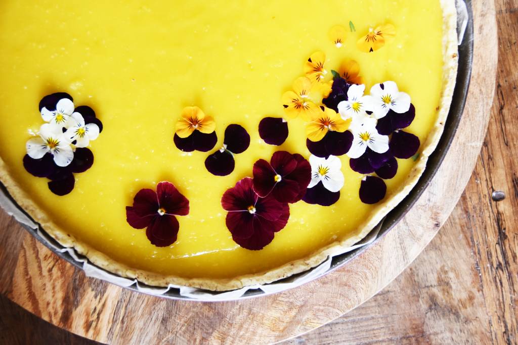 buffet toquée du bocal (49)